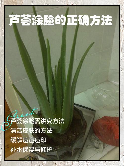 芦荟敷脸祛痘正确做法是什么？-图2