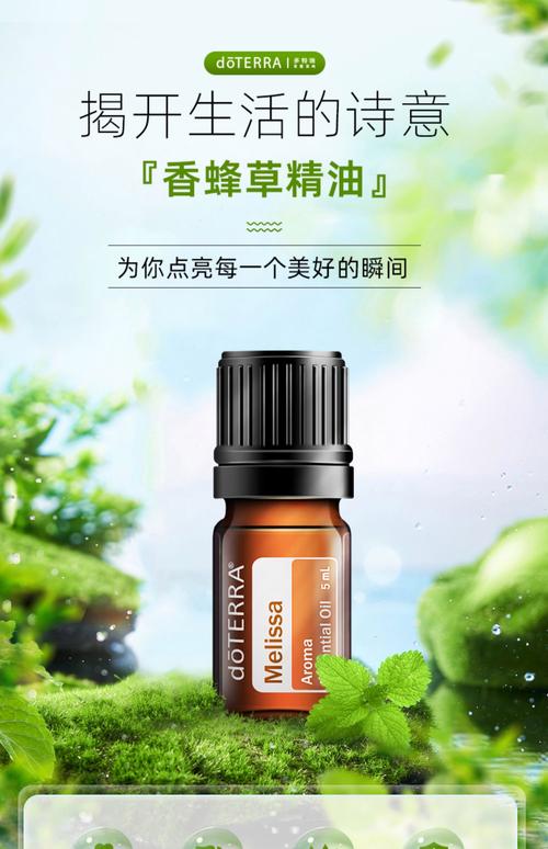 祛痘控油精油，哪种效果最好？-图1