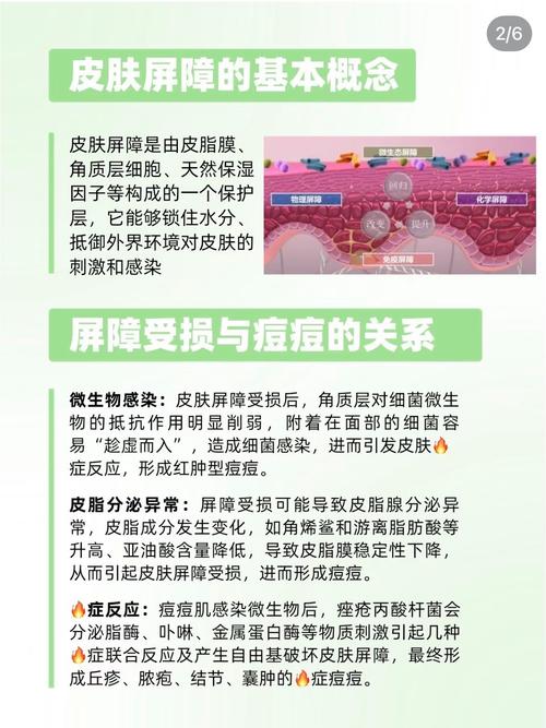 美容养生护肤知识有哪些关键点？-图3