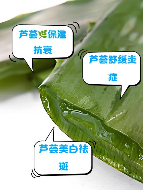 孕妇能用芦荟护肤品吗-图1