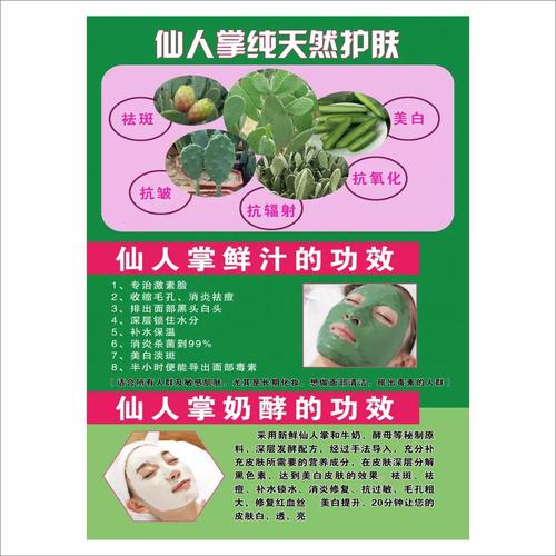 仙人掌祛痘真的有效吗？-图2