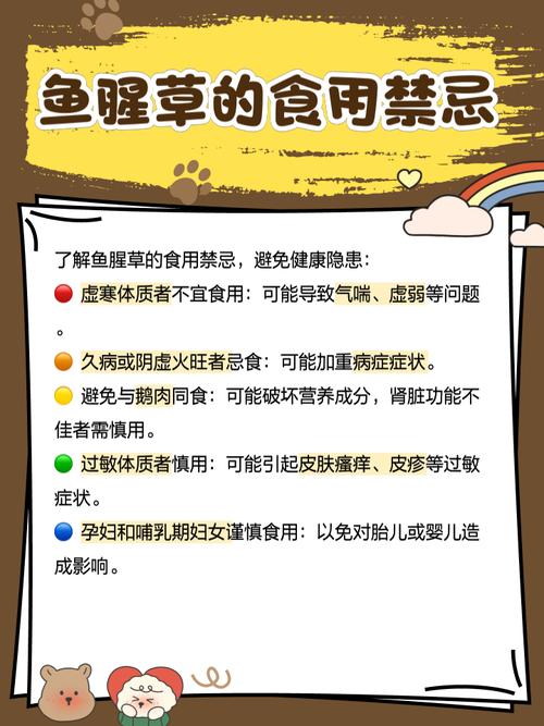 鱼腥草外敷能祛痘吗？-图1