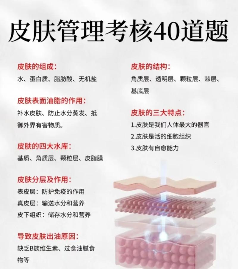 日常美容护肤知识有哪些必备要点？-图2