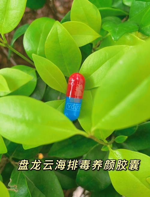 祛痘养颜排毒，吃什么药最有效？-图1