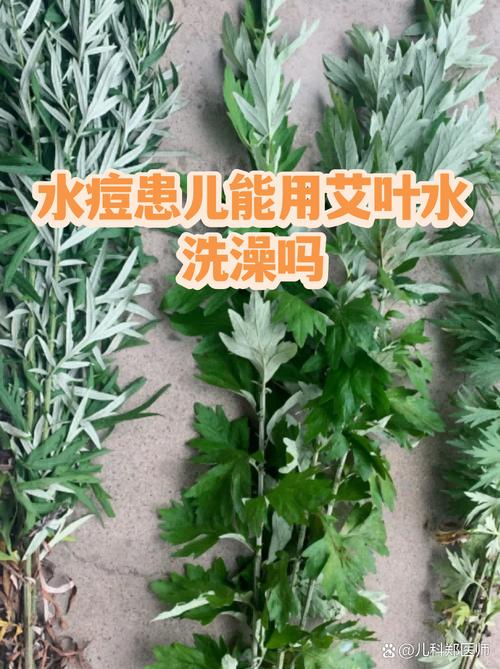 艾叶洗脸真能祛痘吗？-图1